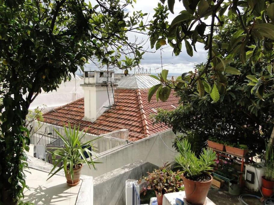 Charm Flat Apartamento *